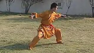 Shaolin Kung Fu Impact Strategy – Xiao Pao Quan (Small Power Form) | Liu Zhen Hai¹