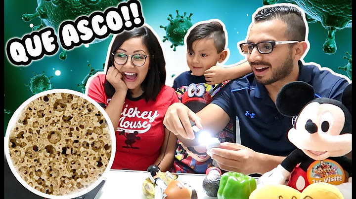 Así se ve tu Comida Bajo un Microscopio | Family Juega