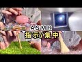 【ASMR】指示と奥行きのある映像で安心して眠れる【音フェチ・睡眠導入】Follow My Instructions