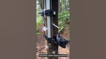 Automatic rubber tapping machine