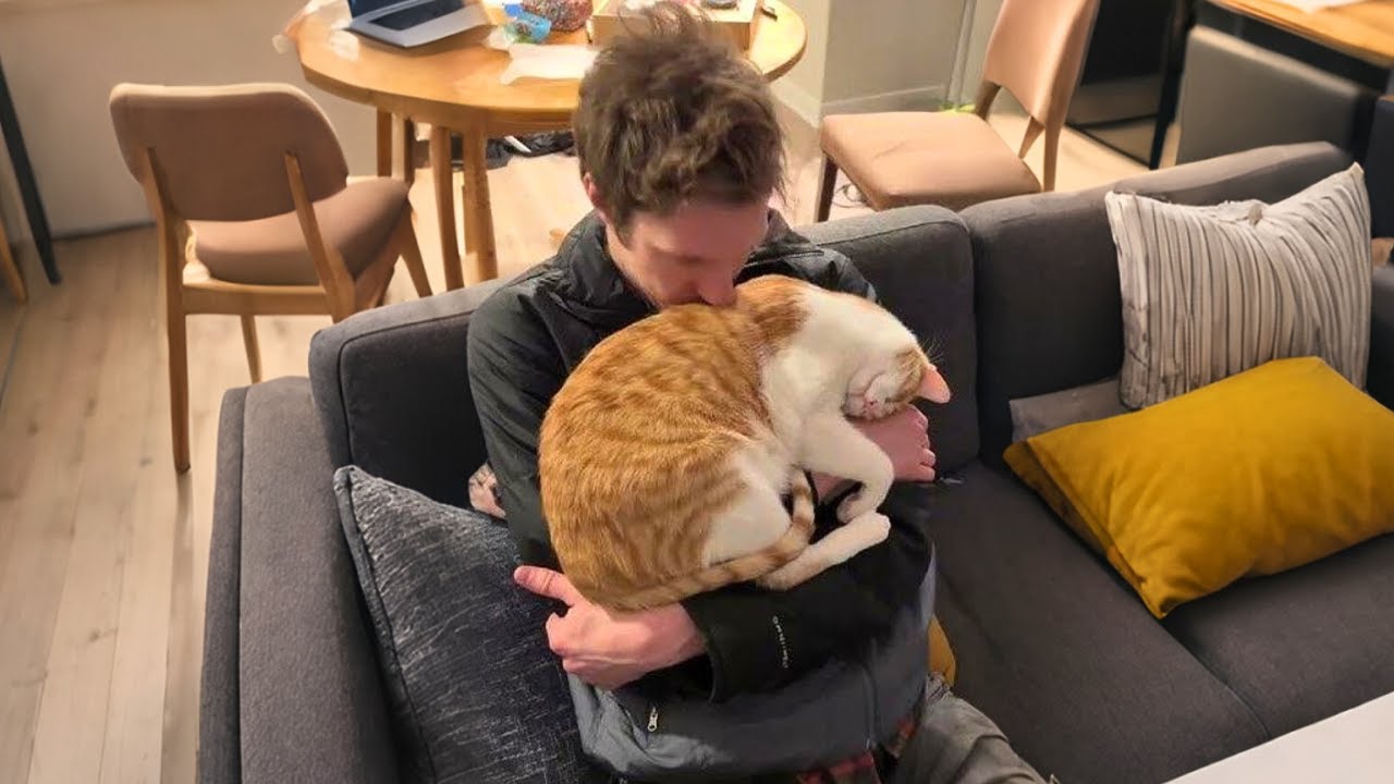 When Your Husband Now Belongs To... The Cat! 😂