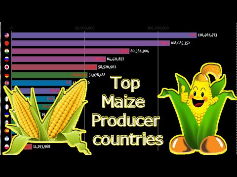 Which Country Is The Largest Producer Of Corn