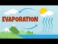 Evaporation and Its Role in the Water Cycle