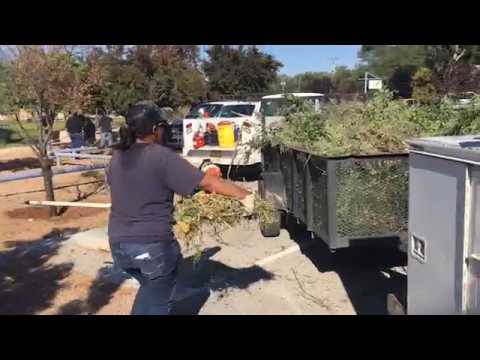 Видео: Та Берналильо мужид хогийн ургамлыг шатааж чадах уу?