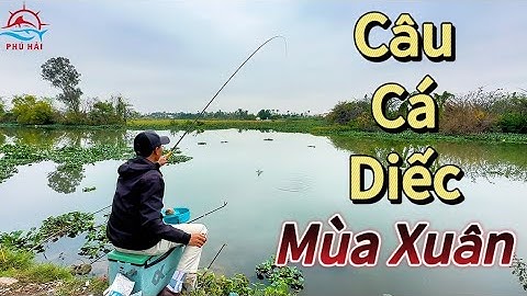 Câu cá tự nhiên  Buổi đi câu cá diếc mùa Xuân bất ổn | Phú Hải Fishing
