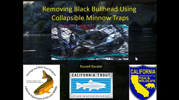 Russell Barabe- Removing Black Bullhead using minnow traps