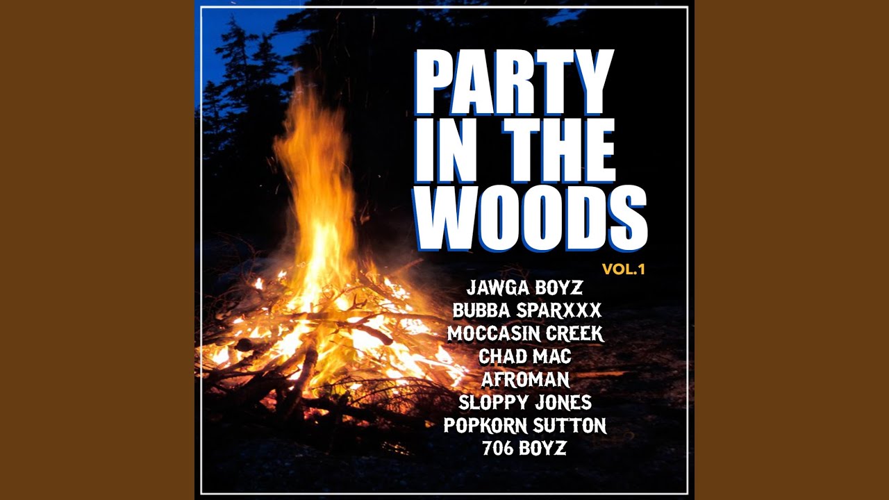 Download Party in the Woods (Remix)