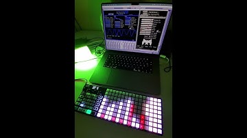 OXI Sequencer in Stochastic mode Vs Noise Engineering VST Plugins - part 1/ Cursus Vereor & Desmodus