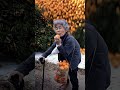 西本喜美子：まるかじり〜