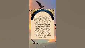 آخر آيه من سوره الفتح