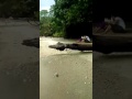 ViRaL ! Video Penampakan Pontianak Berjaya Di Rakam Tak Sengaja Di Tanjung Tuan Port Dickson..Pada Waktu Siang??