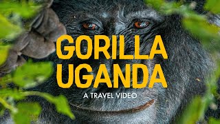 Gorilla Uganda [4K] - An Uganda Gorilla Tracking Cinematic Travel Video | Sony a7C