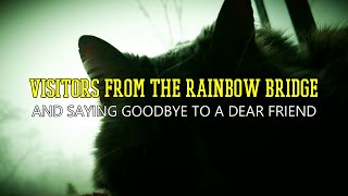 “Visitors From The Rainbow Bridge (And Saying Goodbye to A Dear Friend)” | Paranormal Stories