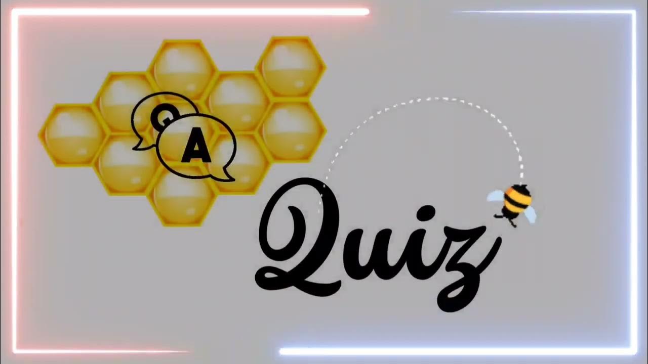 Quiz Bee Simple Intro YouTube