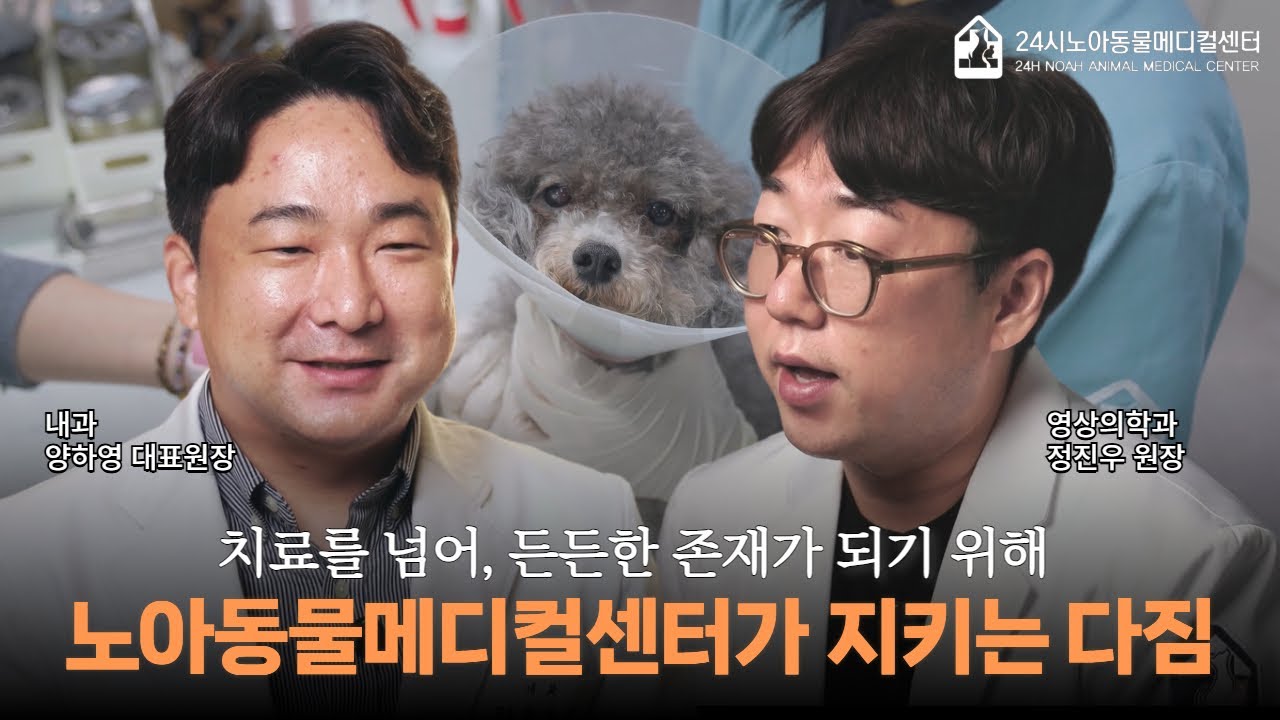 치료를 넘어, 든든한 존재가 되기 위해 광주 노아동물메디컬센터가 지키는 다짐