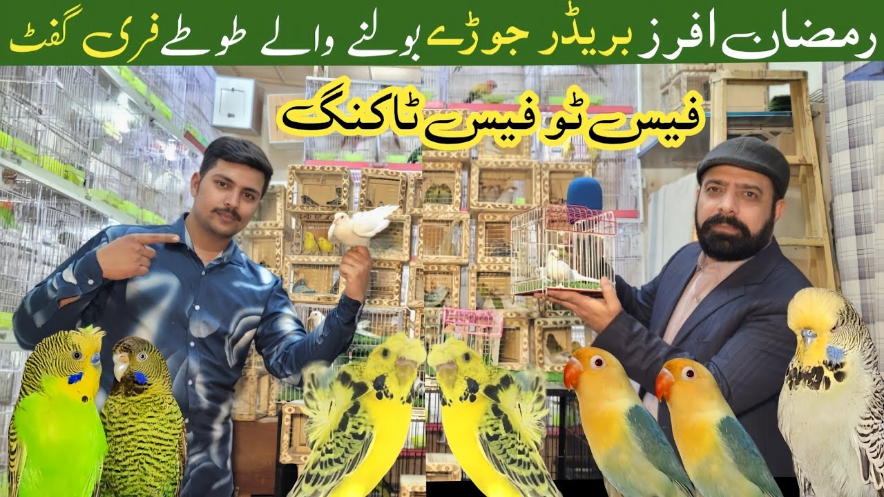 Sonu birds aviary | Big offers | Ramadan 2026