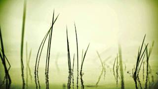 Smoothgrass - video designed by dreamscene.org