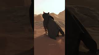 #Dune #Cat #Animation #Pets #Movie #Можноястобой
