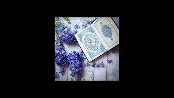 القران الكريـم بدون حقوق طبع ونشر تلاوة بصوت رائع و جميل ♥ 10 ساعات