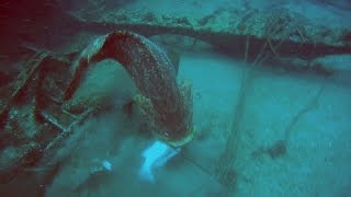 Spear Fisherman Dragged by Goliath Grouper