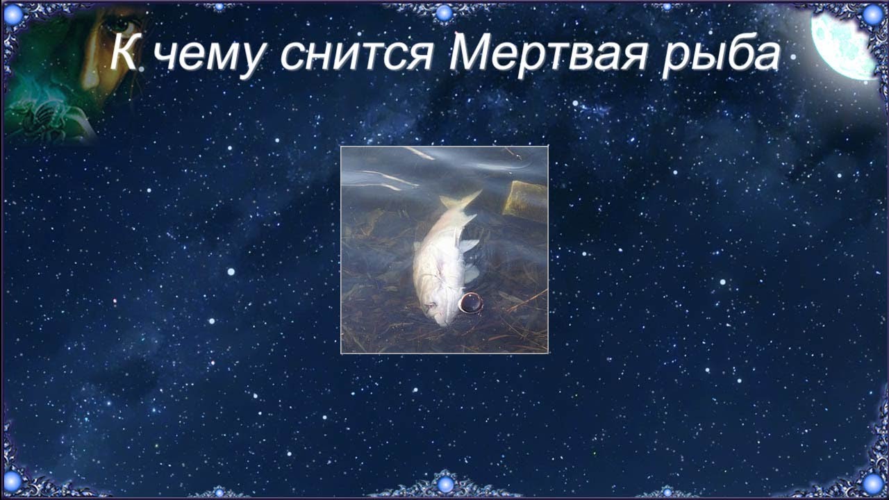 К чему снится Мертвая рыба (Сонник)