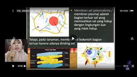 Di bawah ini yang merupakan bagian dari sel bersifat permeable ialah …