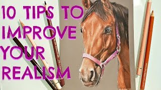 How to Draw a Realistic Horse Using Caran d'Ache Luminance and