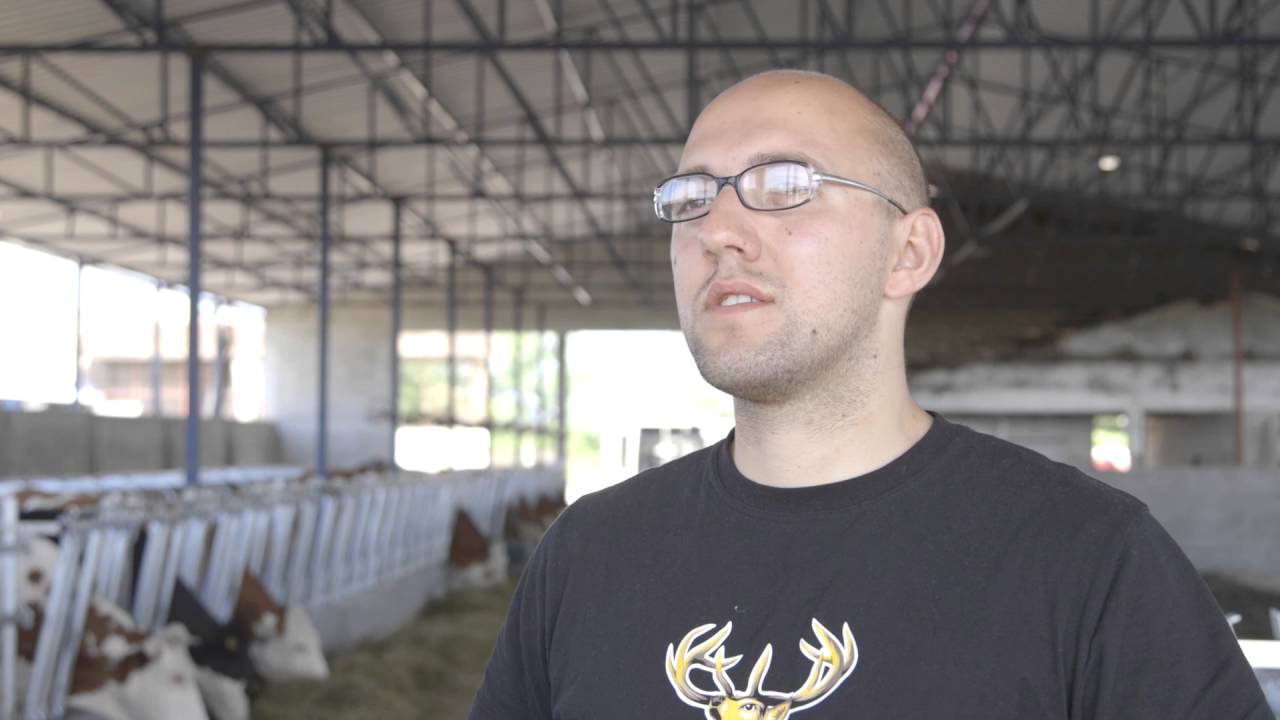 Farma krava i proizvodnja mleka u selu Jasa Tomic, II deo - U nasem ataru 648