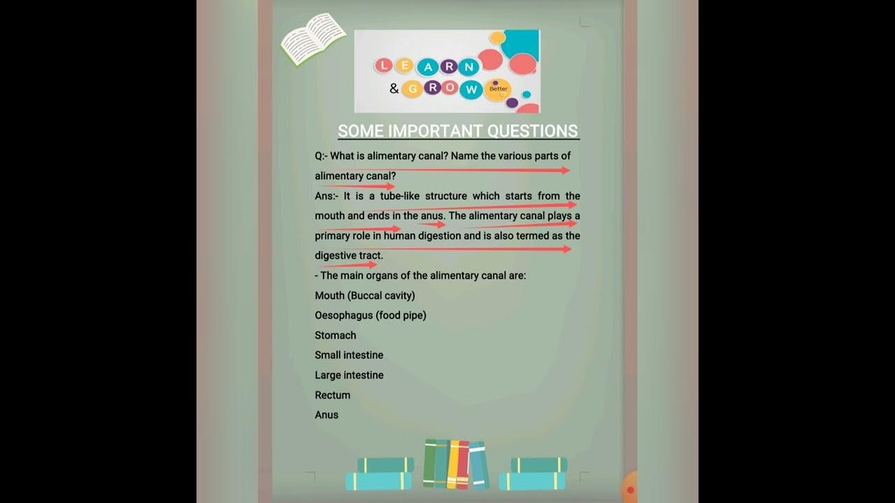 chapter-2-science-class-7-nutrition-in-animals-alimentary-canal