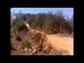 Rallye Loulé casino de Vilamoura 2011 - YouTube