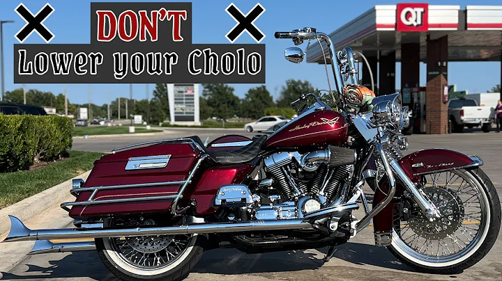 DON'T Lower Your Vicla Harley Davidson
