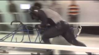 Bobsleigh Canada Olympic Push Testing. 5.14, Left Side