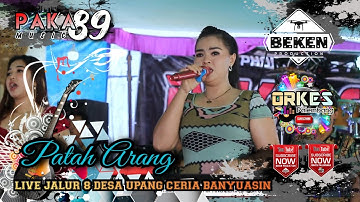 Pasukan Elit Paka 89 Music | Patah Arang | Live Jalur 8 Upang Ceria Banyuasin | WD Firda And Buha