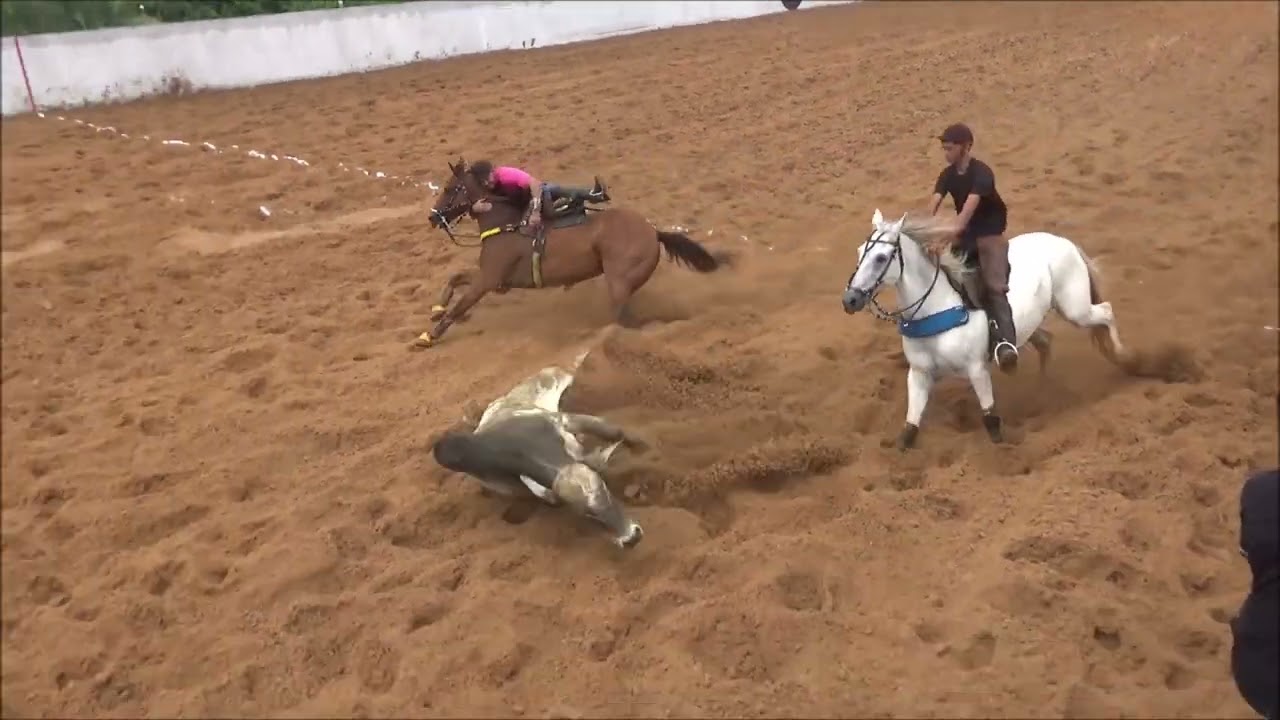 melhores momentos da tropa de elite do parque trans nordeste em lima campos-MA