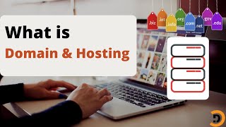 What is Hosting and Domain - DotCode