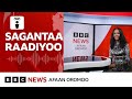 Rakkoon Siyaasaa Oromoo Keessa Jiru Itoophiyaaf Balaadha Seenaa Jimjimoo 