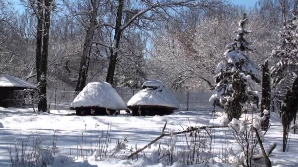 Ptasi azyl w warszawskim ZOO