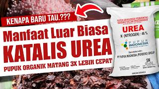 KENAPA BARU TAU.❓❓❓ MANFAAT LUAR BIASA KATALIS UREA | Pupuk Organik 3X Lebih Cepat Matang
