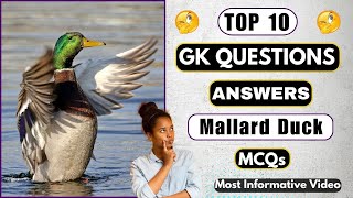 10 General Knowledge Quiz Questions About Mallard Duck In English | Helian GK Quiz