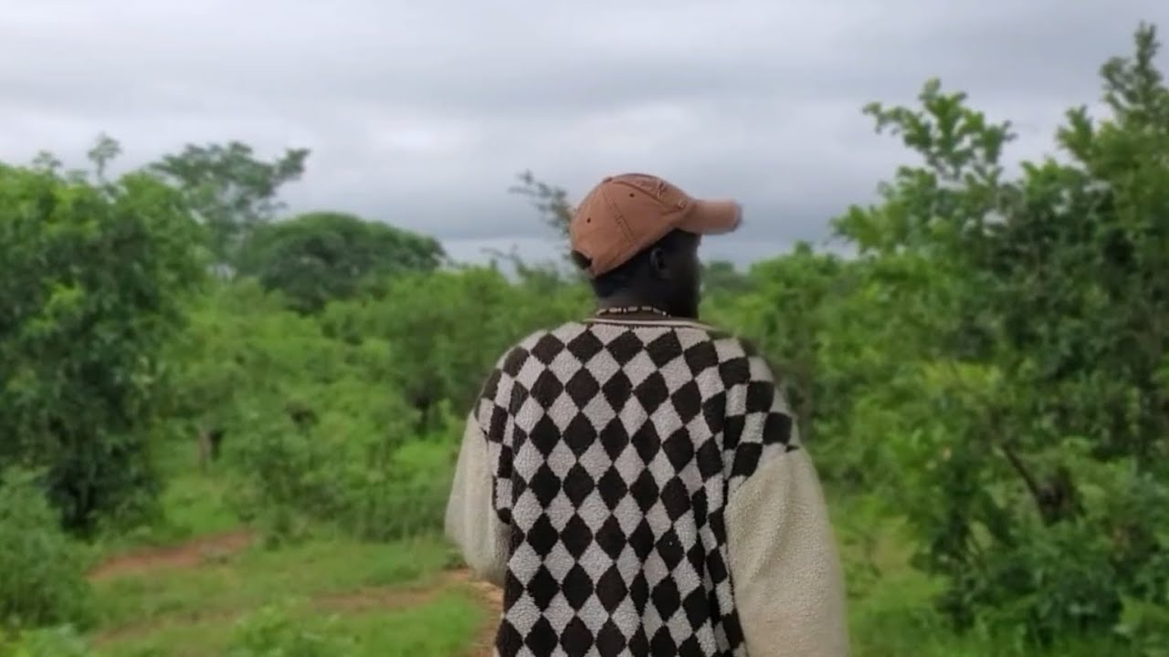 LOCATION ZA ICOMBE 🔥🔥🌱