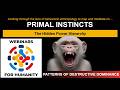 Primal Instincts: The Hidden Power Hierarchy