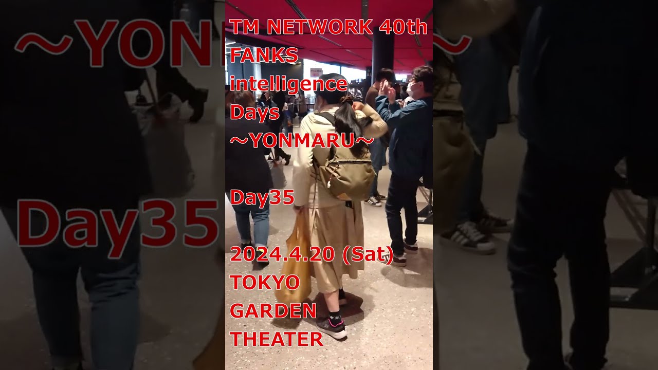 TMNETWORK サイン TM NETWORK/TMネットワーク DRESS 直筆サイン入り色紙 SONY