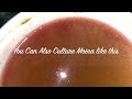 comment cultiver des aliments pour poissons vivants Moina, méthode simple de culture Moina en utilisant la méthode de fermentation - Anglais Mp3 Song