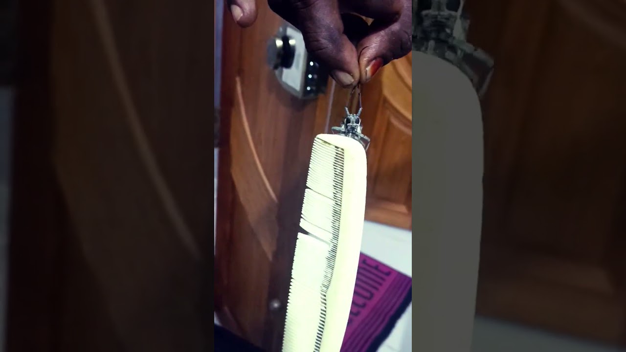 💪💪💪💪💪💪💪💪💪💪💪strong insect