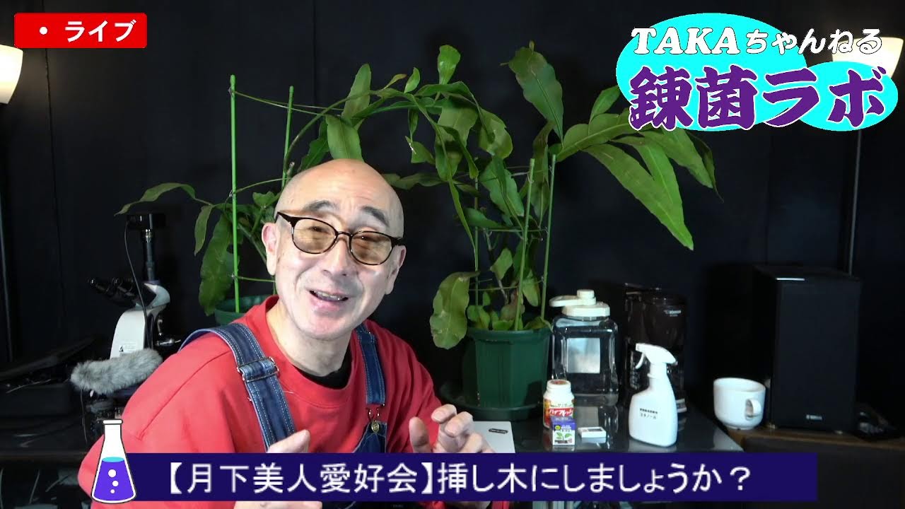 Moonflower Lovers Club] Should we take cuttings? - YouTube
