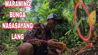 Download Lagu PAHIRAPAN SA PAG TANIM DAHIL SA KALABAN ANG PANAHON MP3