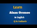 Daily English Conversation Practice In Afaan Oromo And Amharic Afaan Oromo Explanation Afaanoromoo 