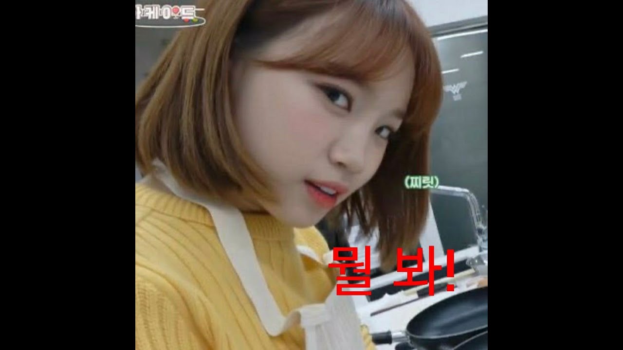 새로운 쌈아치(?)