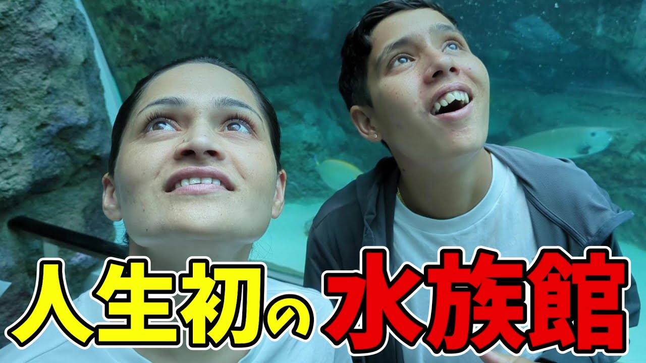 日本の水族館すご～い！人生初の水族館に大興奮のネパール人！