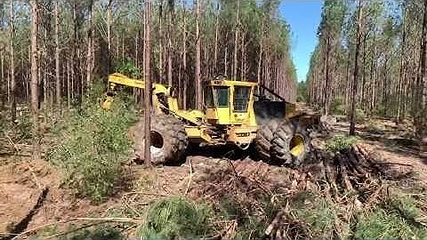 How to First Thin and watching the Tigercat Feller buncher and John Deere Skidder work